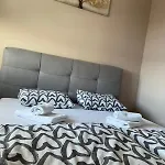 Savanovic Sa Garazom *